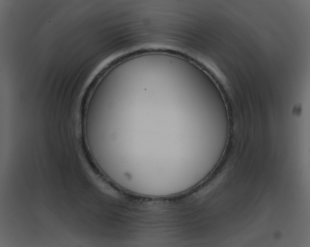 X0000096690934200802051034