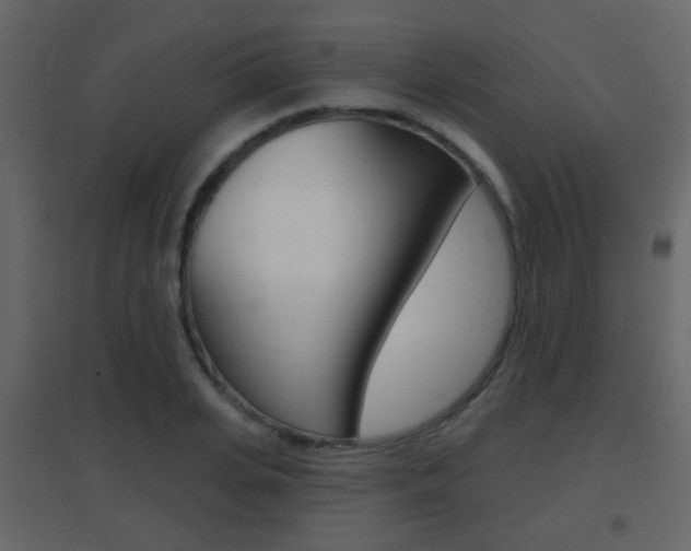 X0000096690935200802051034
