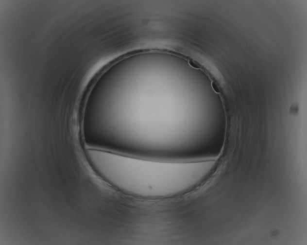 X0000096690936200802051034