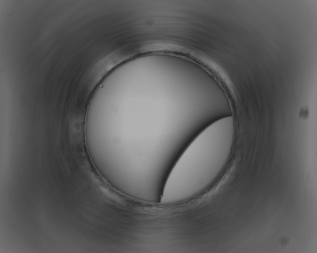 X0000096690937200802051034
