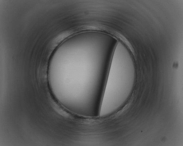 X0000096690938200802051034