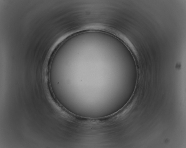 X0000096690939200802051034