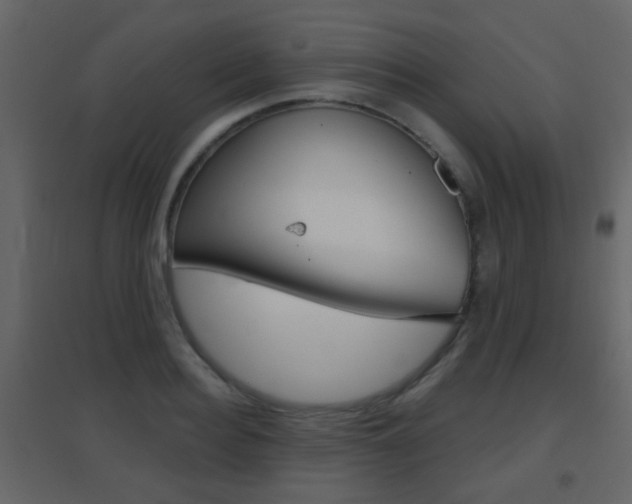 X0000096690940200802051034