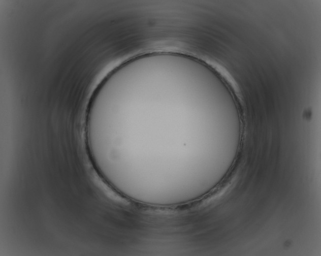 X0000096690941200802051034