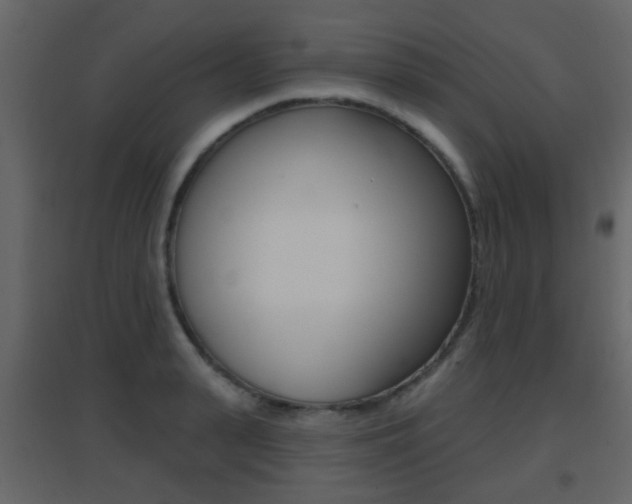 X0000096690943200802051034