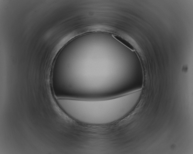 X0000096690946200802051034