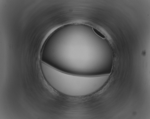X0000096690948200802051034