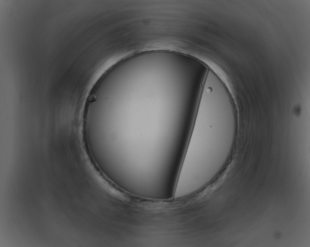 X0000096690949200802051034