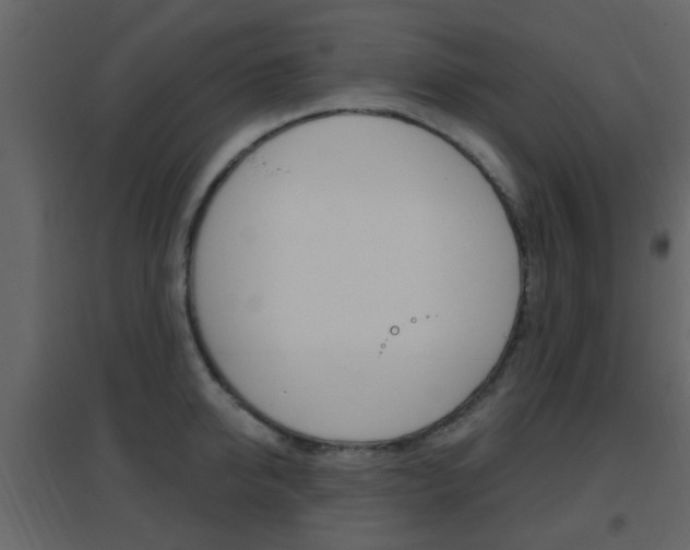 X0000096690950200802051034