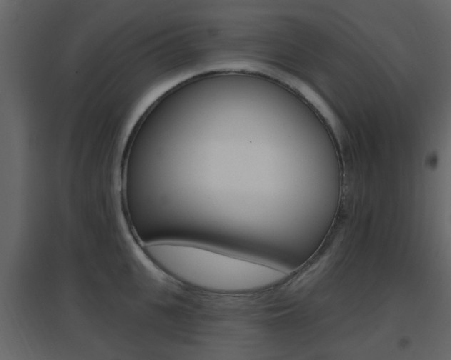 X0000096690951200802051034