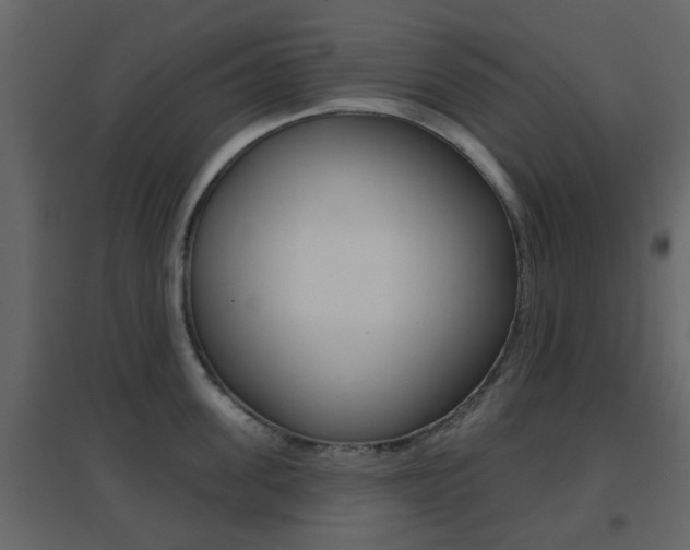 X0000096690955200802051034