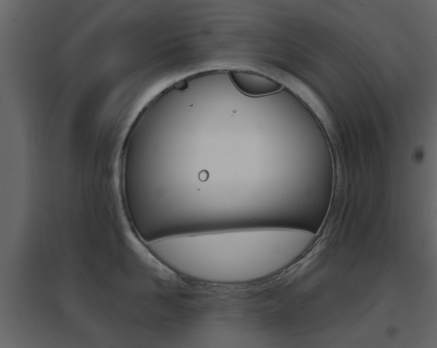 X0000096690958200802051034