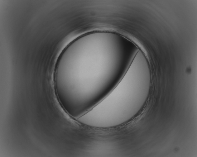 X0000096690959200802051034