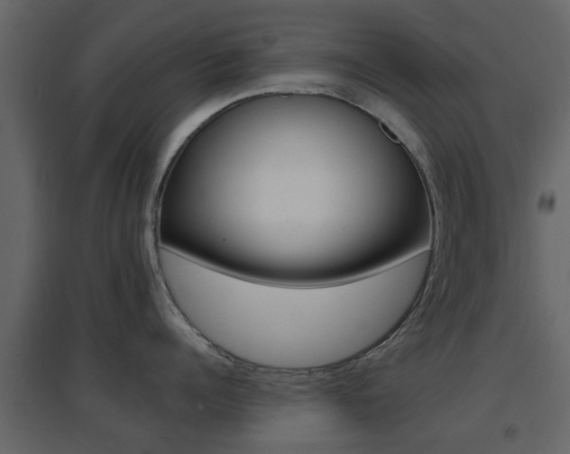 X0000096690960200802051034