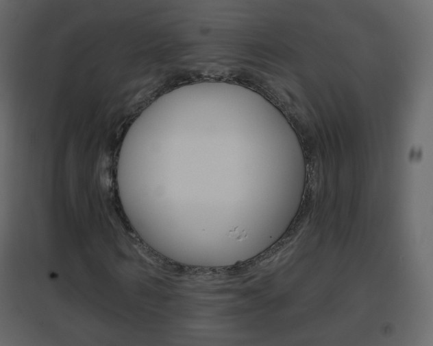 X0000096690962200802051033