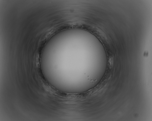 X0000096690963200802051033