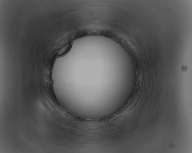 X0000096690964200802051033