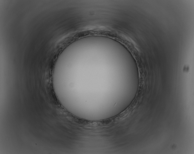 X0000096690966200802051033