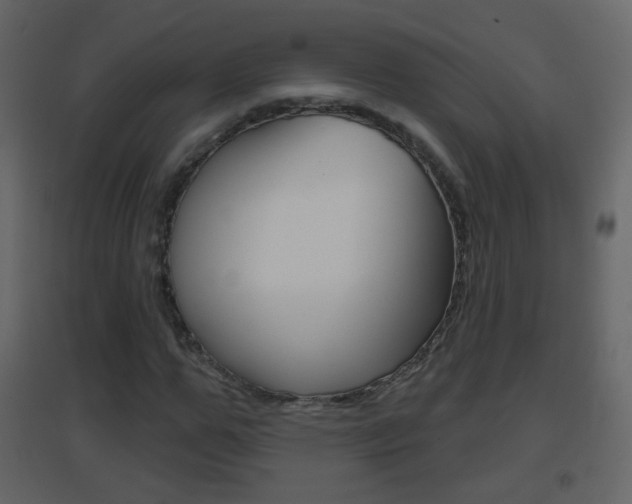 X0000096690967200802051033