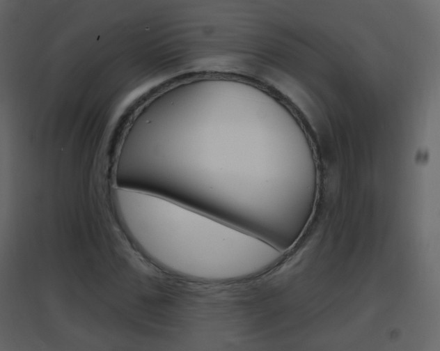 X0000096690971200802051033