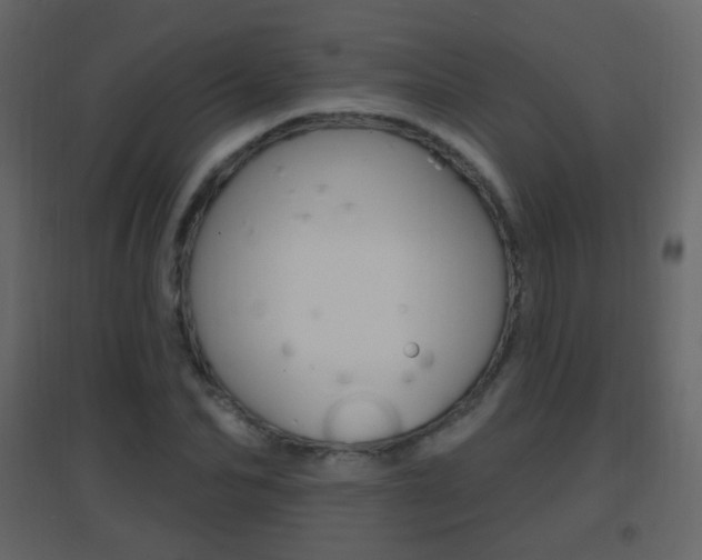 X0000096690974200802051033