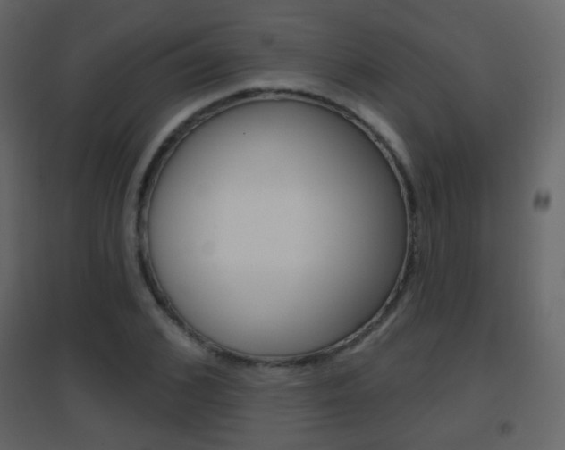 X0000096690976200802051033