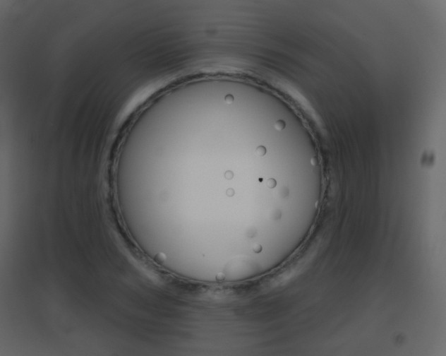 X0000096690978200802051033
