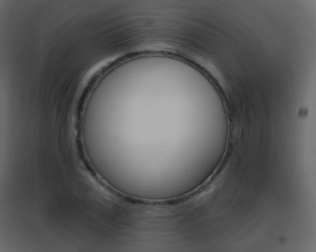 X0000096690979200802051033
