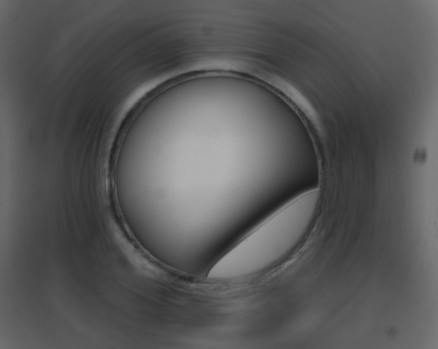 X0000096690980200802051033