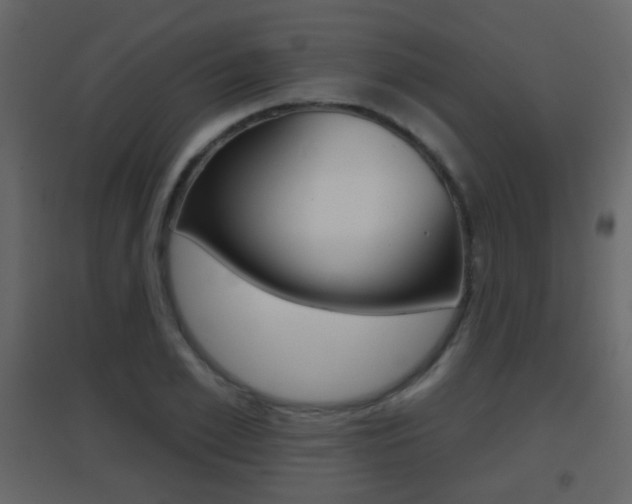 X0000096690981200802051033