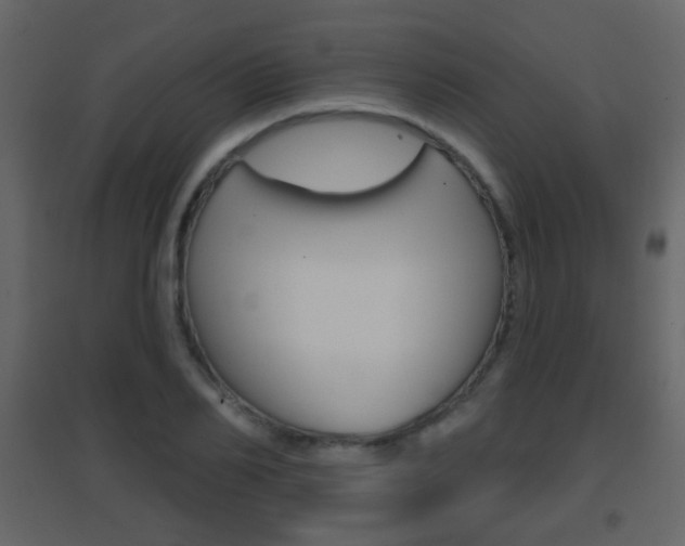 X0000096690982200802051033