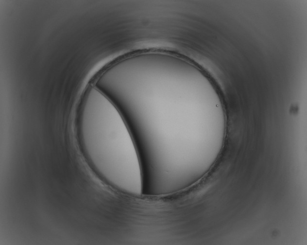 X0000096690983200802051033