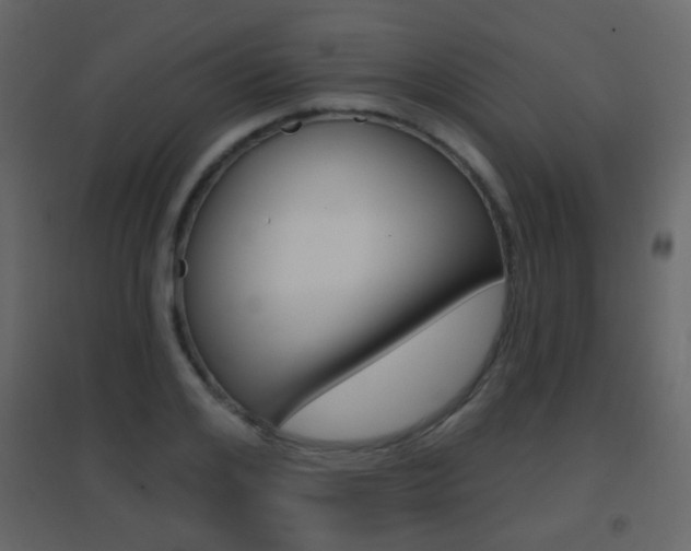 X0000096690984200802051033