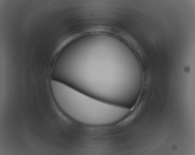 X0000096690985200802051033