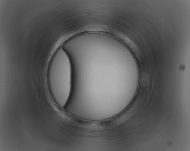 X0000096690986200802051033