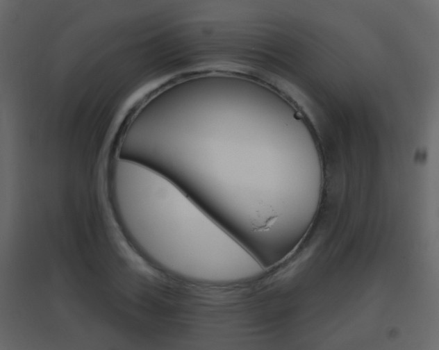 X0000096690987200802051033