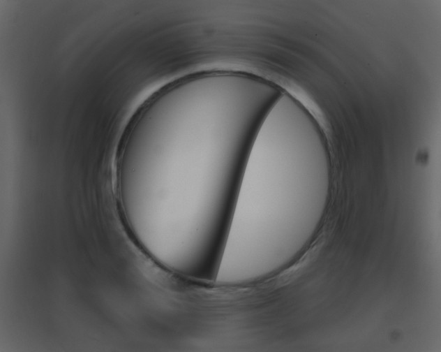 X0000096690988200802051033