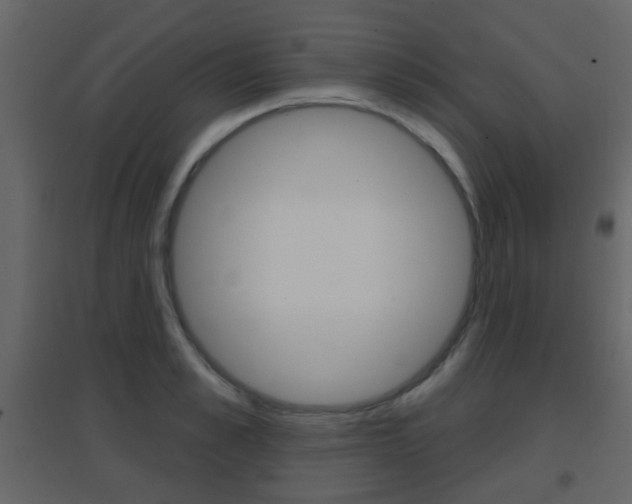 X0000096690989200802051033