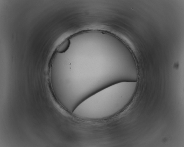 X0000096690990200802051033