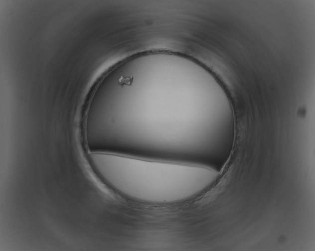 X0000096690991200802051033