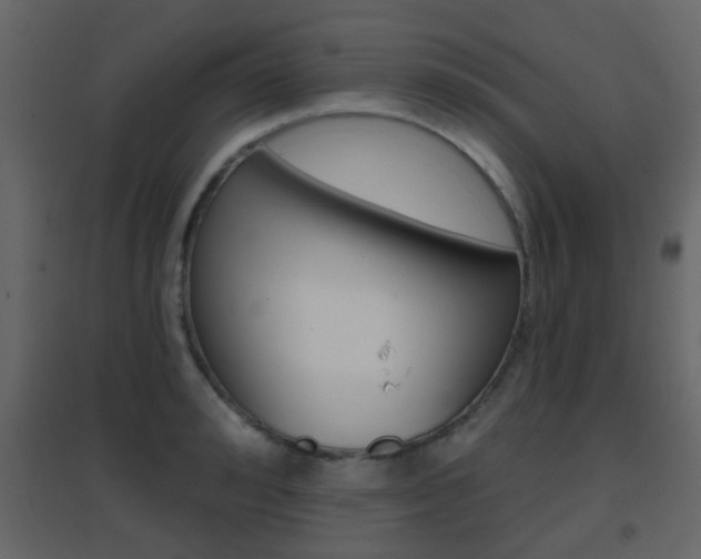 X0000096690992200802051033