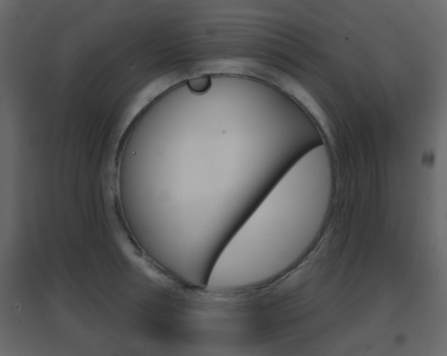 X0000096690994200802051033