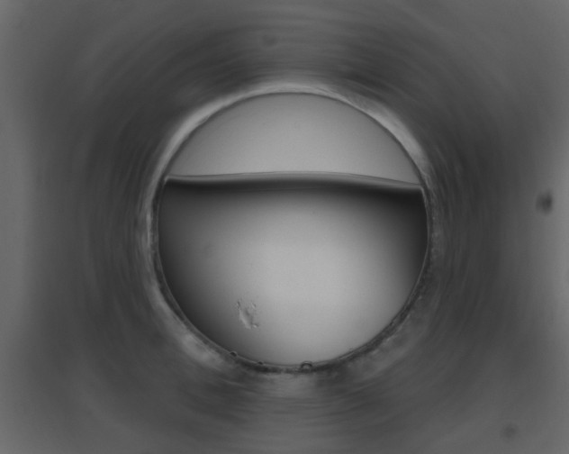 X0000096690996200802051033