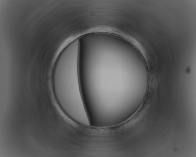 X0000096690997200802051033
