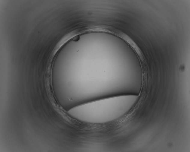 X0000096691002200802051032