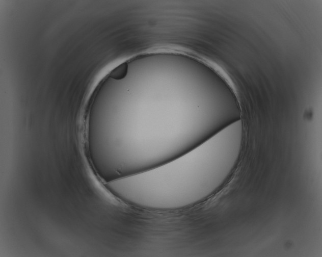 X0000096691003200802051032