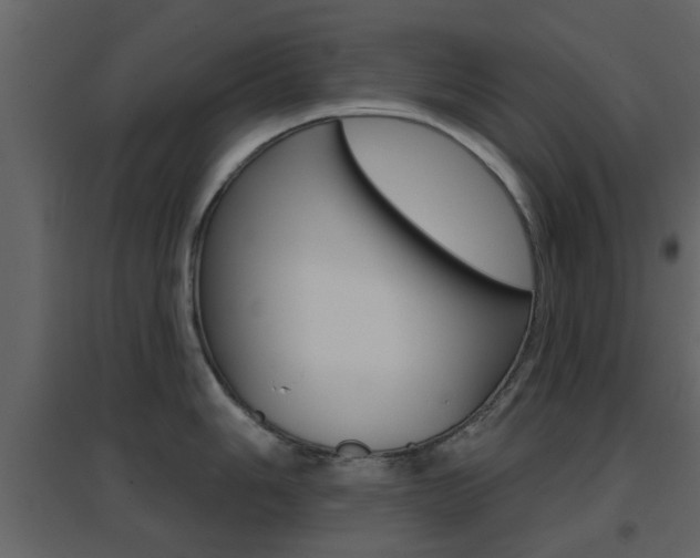 X0000096691006200802051032