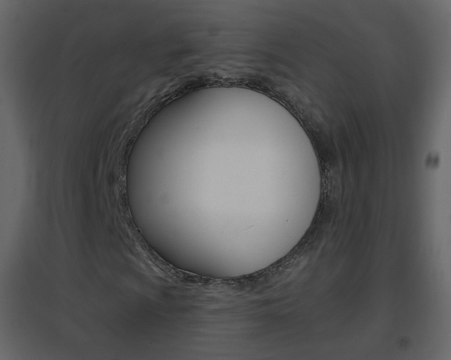 X0000096691009200802051032