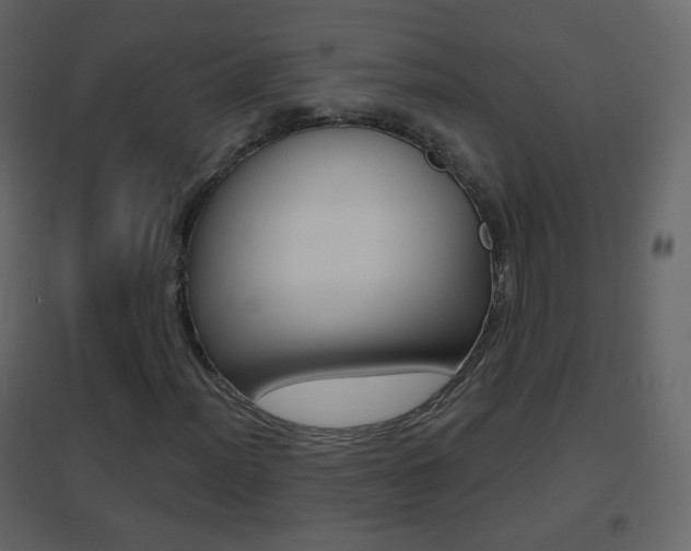 X0000096691012200802051032