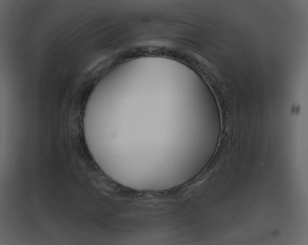 X0000096691014200802051032
